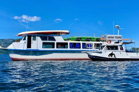 Ketchikan : Excursion en bateau rapide et en kayak de mer à Orca Cove