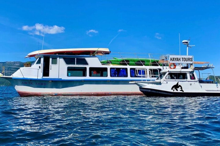 Ketchikan : Excursion en bateau rapide et en kayak de mer à Orca Cove