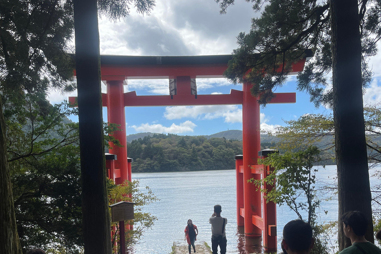 tour privado de 2 días por la ciudad de tokio y el monte fuji o tour por hakone