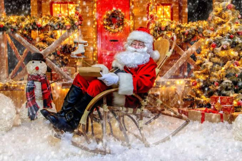 Rovaniemi: SantaPark All-Day Adventure with Lunch