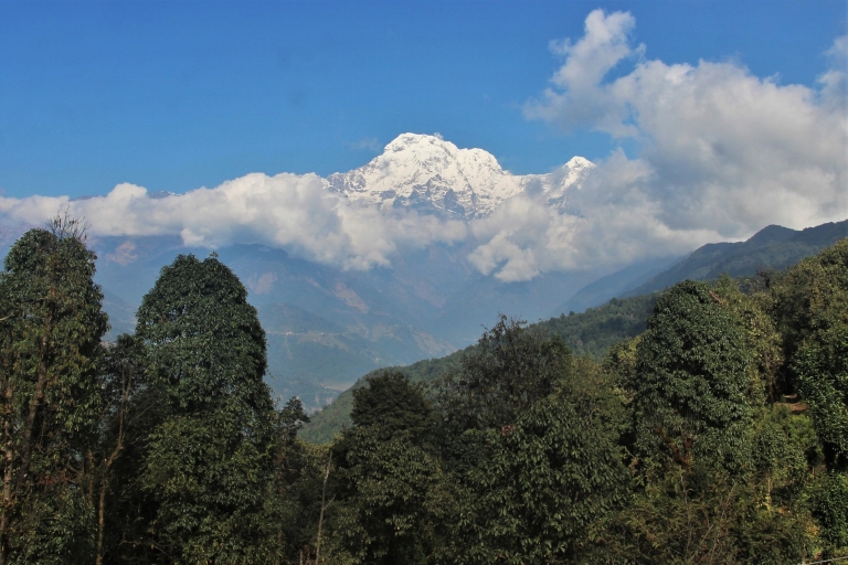 Von Kathmandu aus :Budget 7 Nächte 8 Tage Mardi Himal TrekVon Kathmandu :Budjet 7 Nächte 8 Tage Mardi Himal Trek