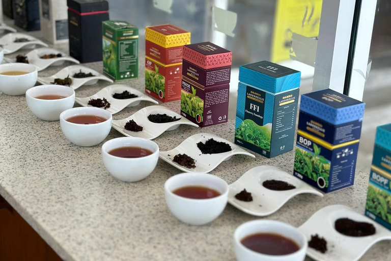 Nuwara Eliya Tea Plucking Tast Secret Falls on Hidden Paths Tea plucking | Tasting | Falls | Pool | Secret Off Road Path