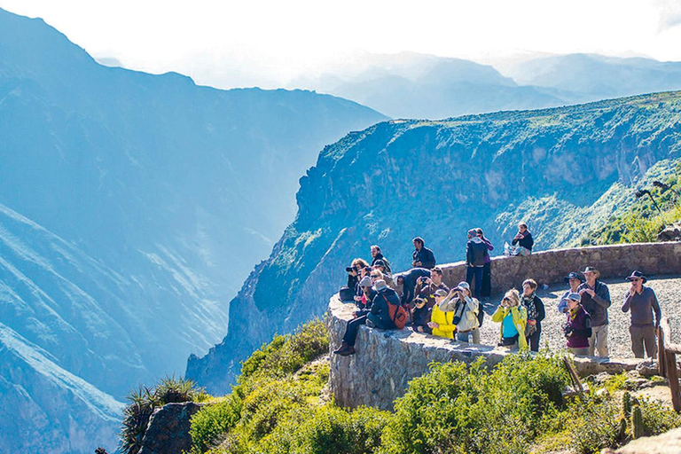 Colca Canyon-utflykt 2 dagar med slut i Puno