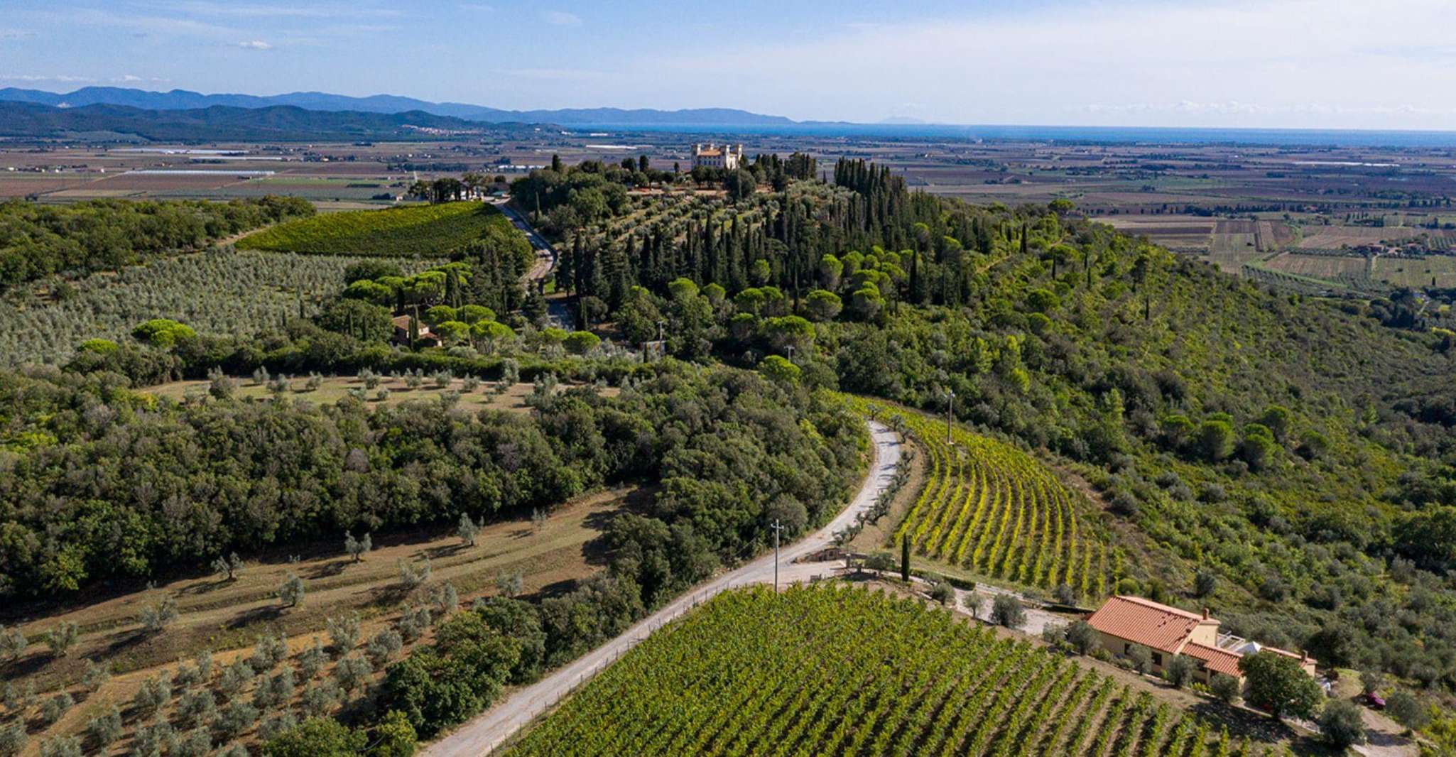 Degustazione di vini con abbinamento di cibi locali vicino a Livorno
