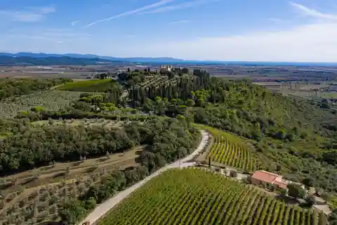 Wine Tasting with Local Food Pairing near Livorno