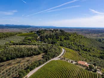Weinverkostung mit lokalen Speisen in der Nähe von Livorno