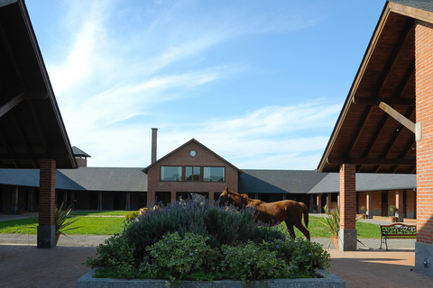 Horses, Asado & Nature. A day at a thoroughbred farm