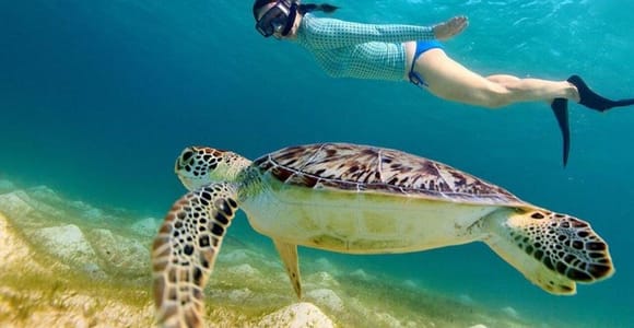 Gili Islands: Glass-Bottom Boat Snorkeling Tour With Photos