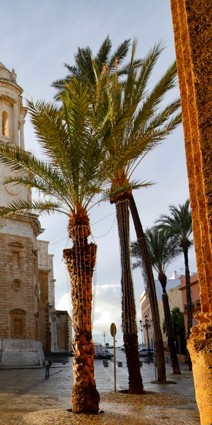 From Cadiz, Private Tour of Cadiz and Jerez de la Frontera - Housity