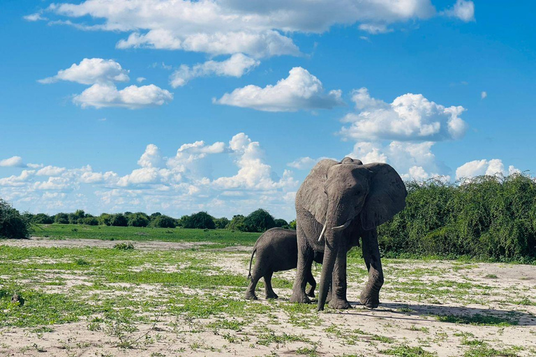 5-Day Chobe and Savuti Camping Safari