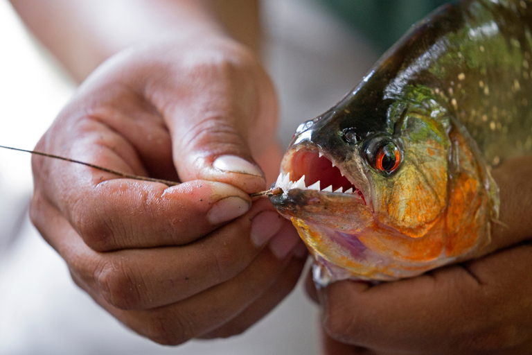 Puerto Maldonado: Yacumama Lake Piranha Fishing Tour & phtos