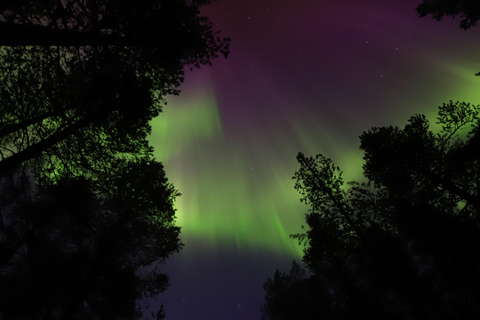 Levi: Aurora Hunting by Car