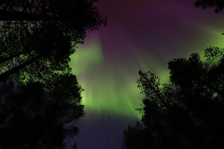 Levi: Aurora Hunting by Car
