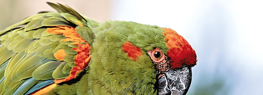 Sucre : Randonnée, exploration et découverte du parc protégé de Monte Villca