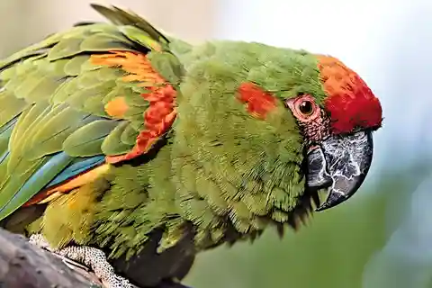 Sucre: Caminha, explora e descobre o Parque Protegido Monte Villca
