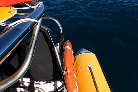 Noosa : Observation des baleines à bosseNoosa: visite d&#039;observation des baleines à bosse