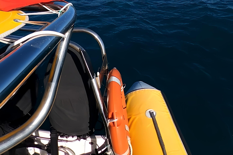 Noosa : Observation des baleines à bosseNoosa: visite d&#039;observation des baleines à bosse