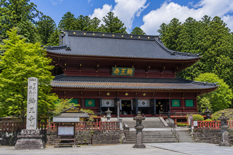 Tokyo:Nikko/Lake Chuzenji & Kegon Falls Scenic Day Trip