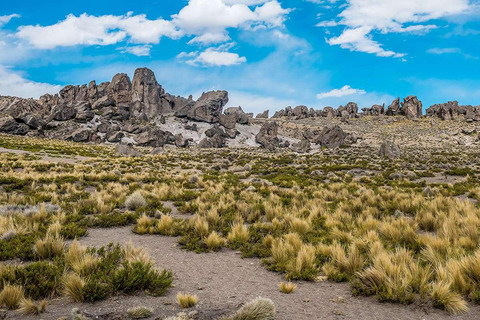 Arequipa: Cascate di Pillones e foresta di pietra | Intera giornata |