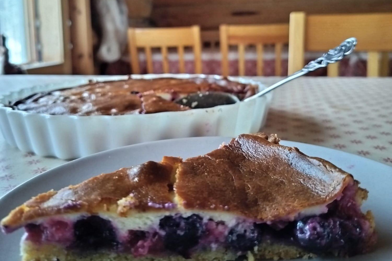 Rovaniemi forest foraging adventure: Pick, Prepare, Savor