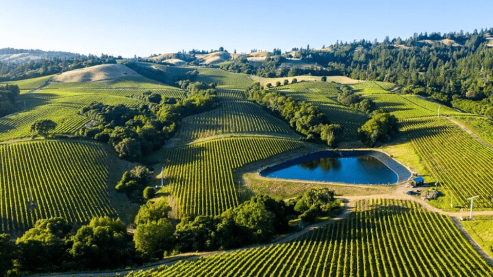 From San Jose: Small Group Napa & Sonoma Valley Wine Tour image 3