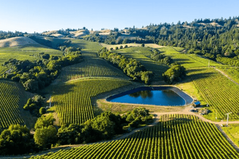 From San Jose: Small Group Napa & Sonoma Valley Wine Tour