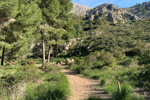 Expérience de la randonnée dans la Sierra de TramuntanaSierra de Tramuntana - randonnée hivernale