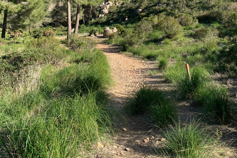 Wędrówki po Sierra de TramuntanaSierra de Tramuntana - zimowa wycieczka piesza