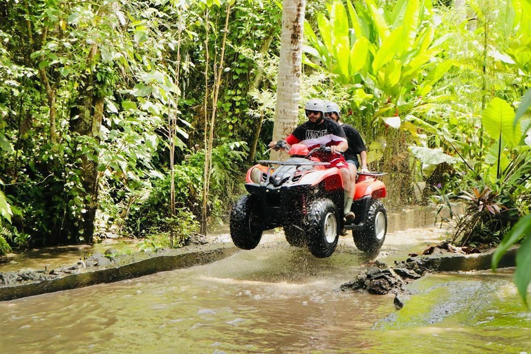 Ubud : Rice Teracces, Gorila Face ATV & RaftingPour les voyageurs en solo qui réservent cette