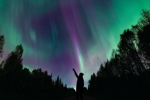 Levi: Nordlichter Pro garantiert – unbegrenzte EntfernungLevi: Nordlichter garantiert – unbegrenzte Entfernung