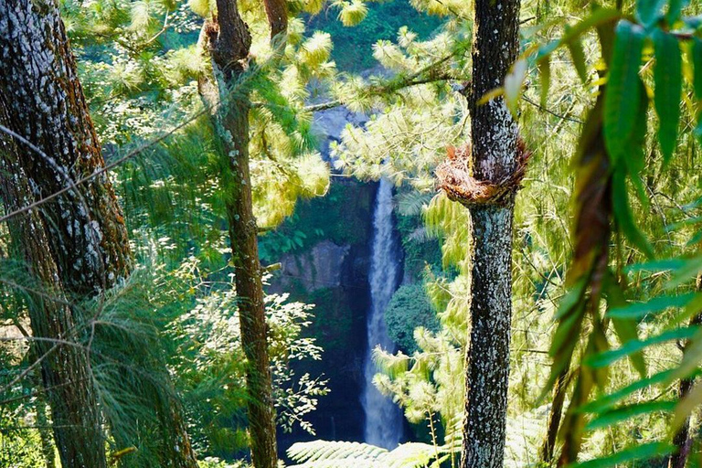 Yogyakarta 2-Day Adventure Tour