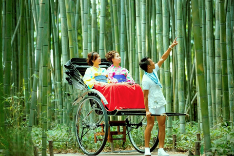 Quioto/Nara/Osaka: Excursão personalizada com pontos turísticos e serviço de busca no hotelKYOTO &amp; Nara: Excursão personalizada com serviço de busca no hotel