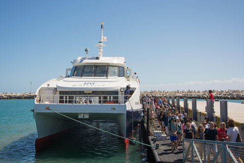 Cape Town: Robben Island Boat Trip &amp; Museum Tour Ticket