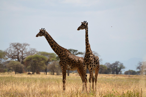 4 Days Tanzania Private Family Safaris