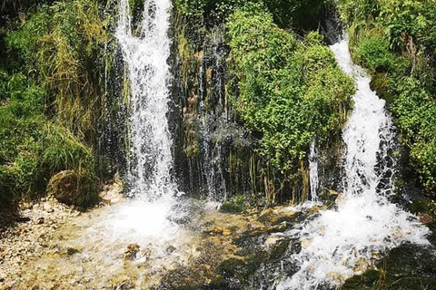 Brașov: Dracula's Castle, Bear Sanctuary, & Cave Tour