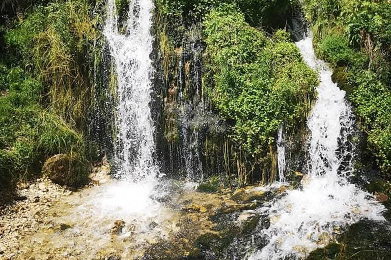 Brașov: Dracula's Castle, Bear Sanctuary, & Cave Tour