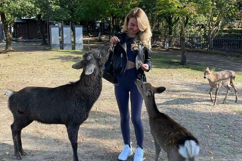 From Kyoto/Osaka: Nara Private Tour with Guide and Vehicle Minivan (Up to 4 PAX) from Osaka
