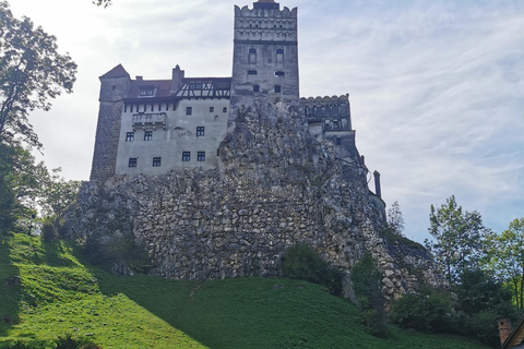 1-dniowa wycieczka do zamku Drakuli w Bran i zamku Peles