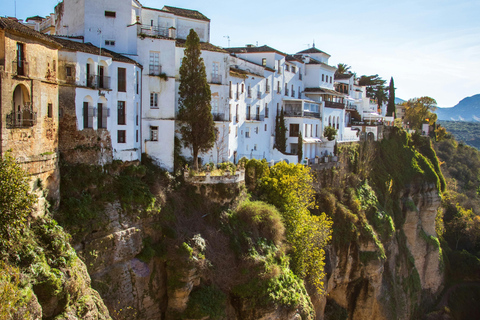 From Málaga and Costa del Sol: Day Trip to Ronda with Plaza de Toros Tour in Spanish WITHOUT admission