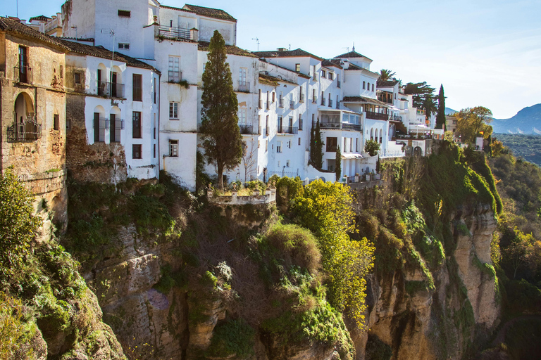From Málaga and Costa del Sol: Day Trip to Ronda with Plaza de Toros Tour in Spanish WITHOUT admission
