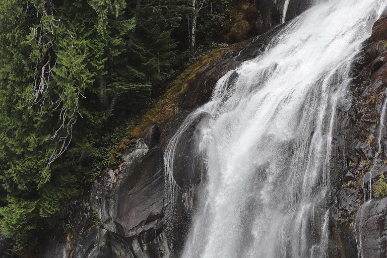 Campbell River: Spring Bear Watching & Waterfalls Boat Tour