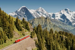 Schynige Platte ticket