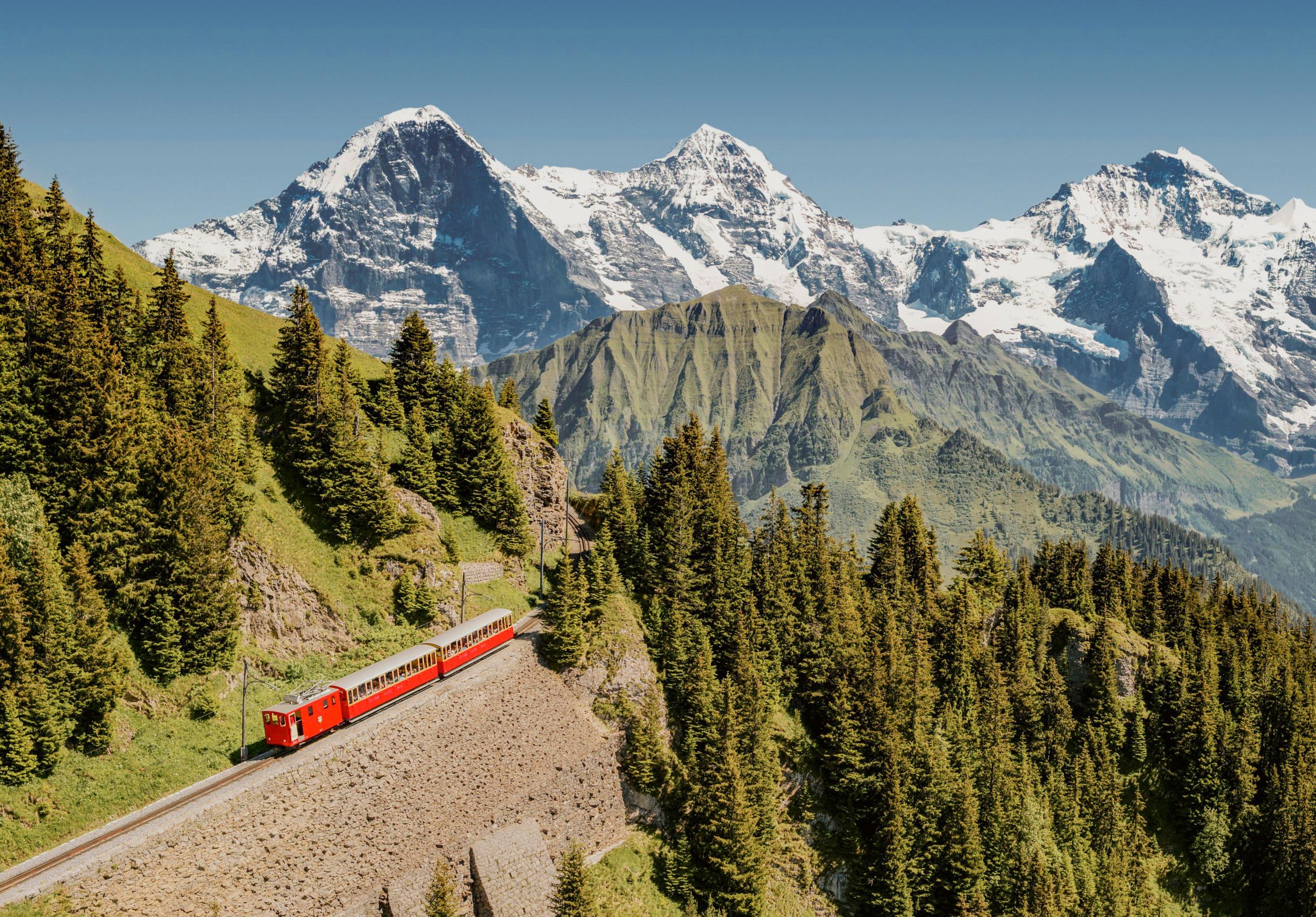 Schynige Platte - Top of Swiss Tradition Ticket