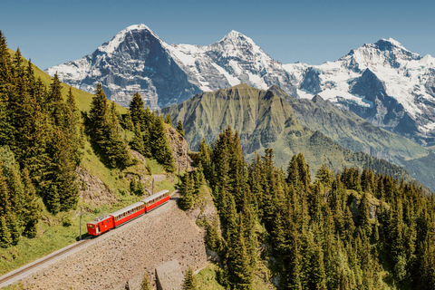 Schynige Platte - Top of Swiss Tradition ticket From Wilderswil: Schynige Platte Railway Round Trip and More