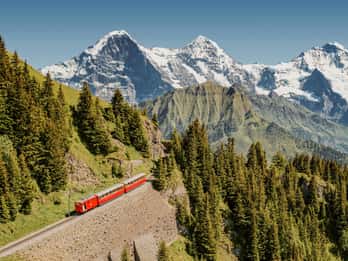 Schynige Platte - Top of Swiss Tradition ticket