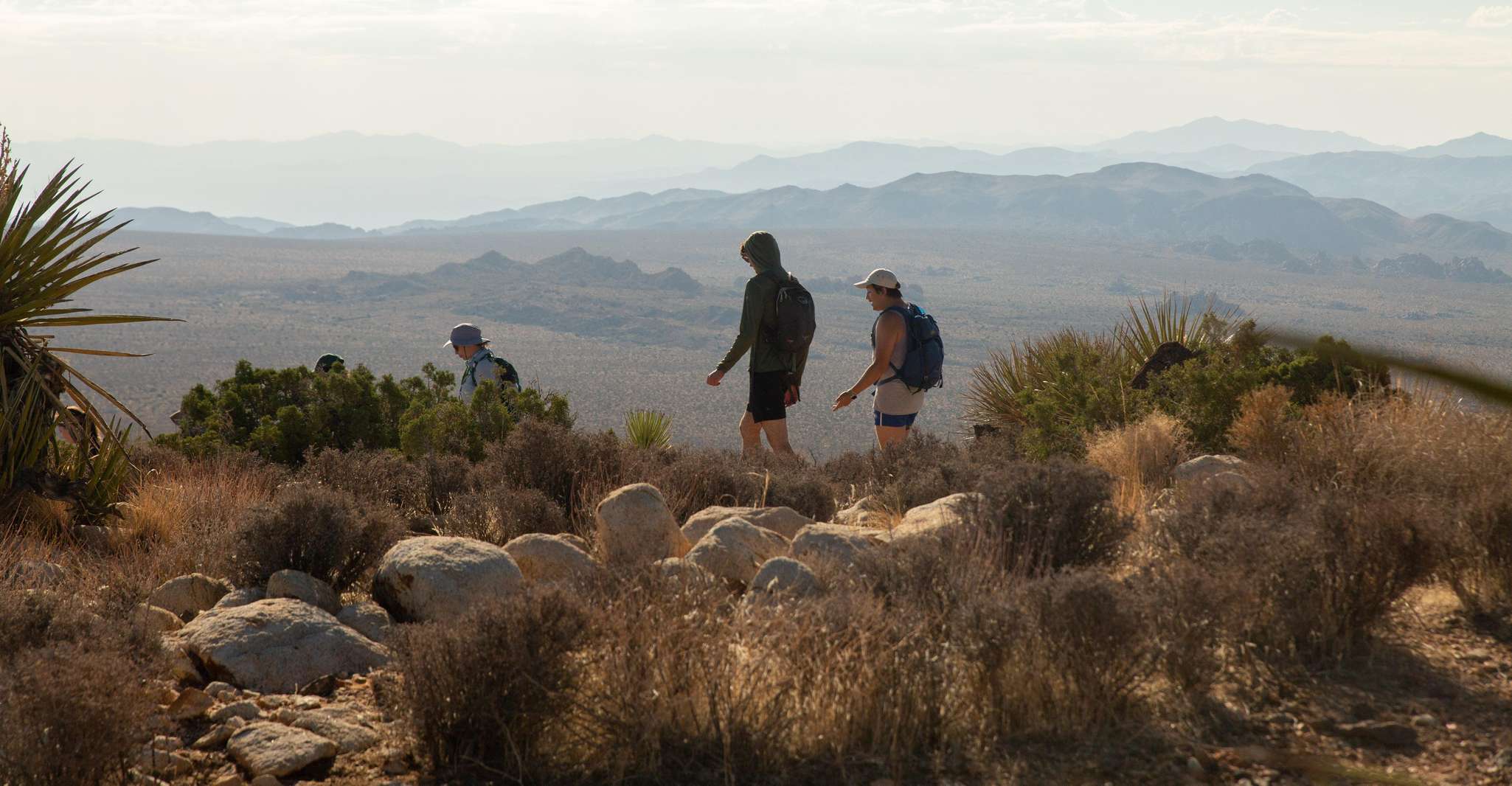 Joshua Tree National Park, Tour and Hike - Housity