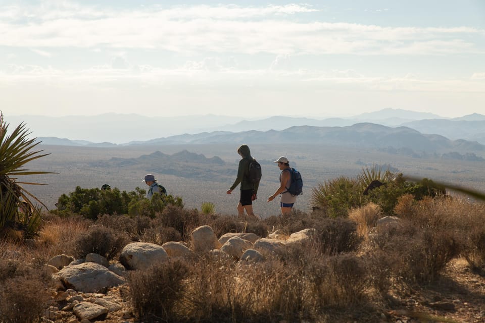 Joshua Tree NP, Sunrise or Sunset Tour - Housity
