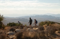 Parque Nacional Joshua Tree, gira y caminata - Housity