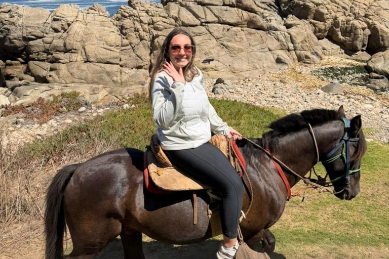 Papudo: Horseback Riding, Penguin Watching, and Sailing