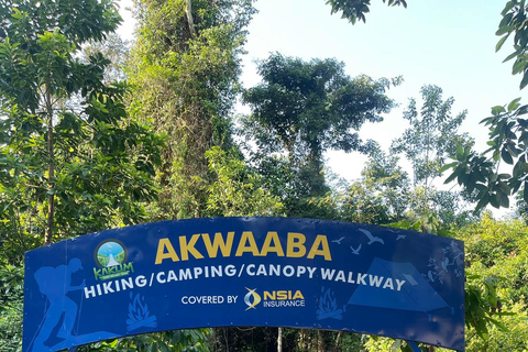 غانا: جولة تعليمية لمدة 10 أيام